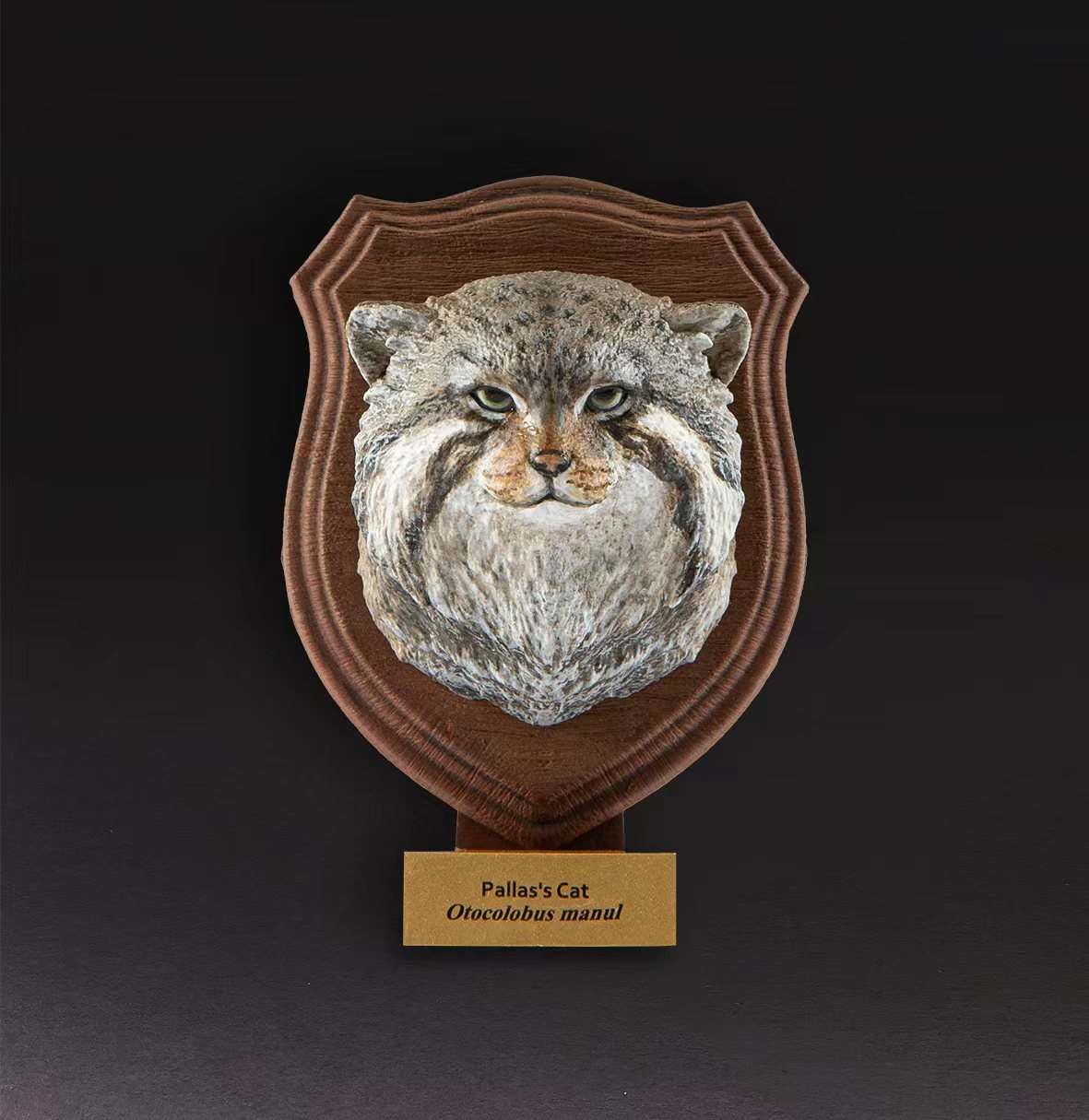 Pallas's Cat