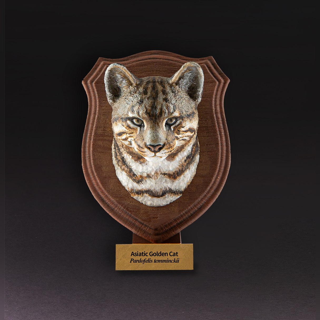 Animal Heavenly Body - World Encyclopedia of Animals Vol.1 Asiatic Golden Cat | Figure