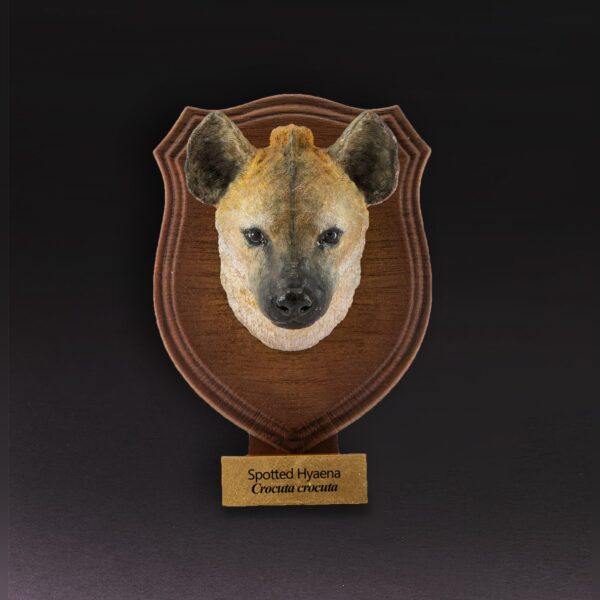 AHB-WA1-07-d282372c Animal Heavenly Body - World Encyclopedia of Animals Vol.1 Spotted Hyaena | Figure