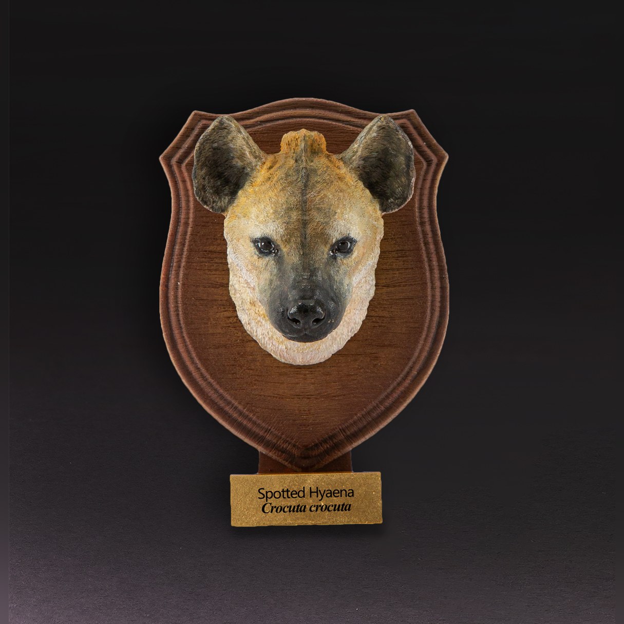 Animal Heavenly Body - World Encyclopedia of Animals Vol.1 Spotted Hyaena | Figure