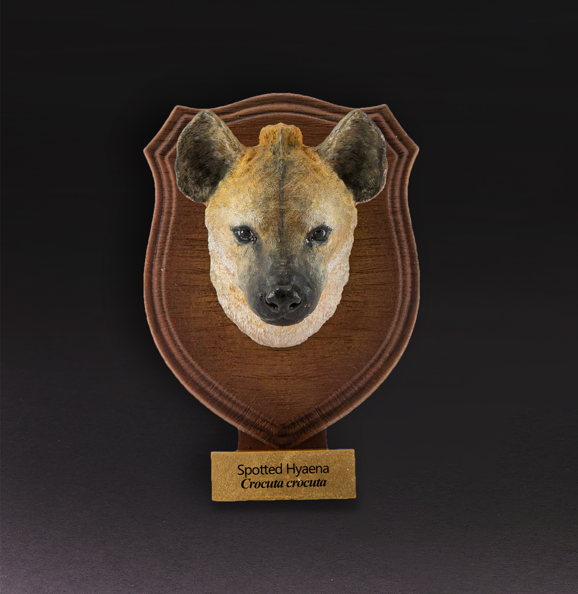 Spotted Hyaena
