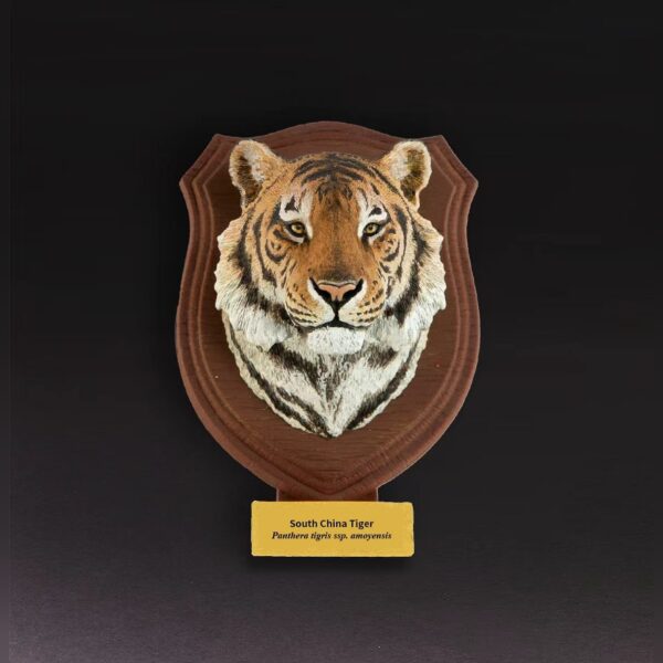 AHB-WA2-01-01-4ce6d209 Animal Heavenly Body - World Encyclopedia of Animals Vol.2 South China Tiger | Figure