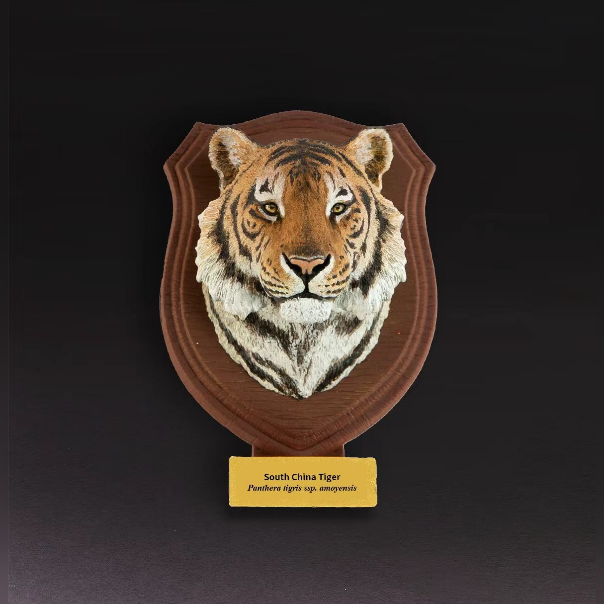 Animal Heavenly Body - World Encyclopedia of Animals Vol.2 South China Tiger | Figure