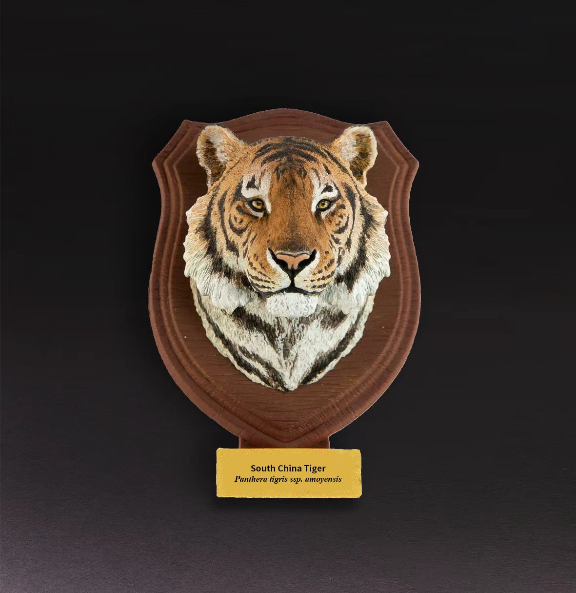 South China Tiger