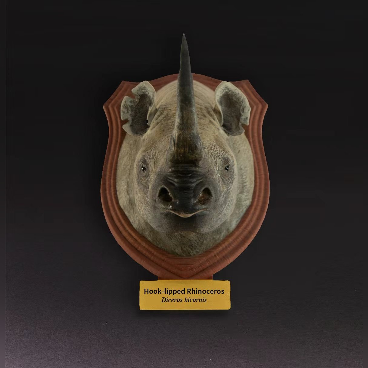 Animal Heavenly Body - World Encyclopedia of Animals Vol.2 Black Rhinoceros | Figure
