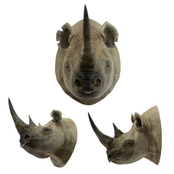 AHB-WA2-02-02-cb0b2cc0 Animal Heavenly Body - World Encyclopedia of Animals Vol.2 Black Rhinoceros | Figure