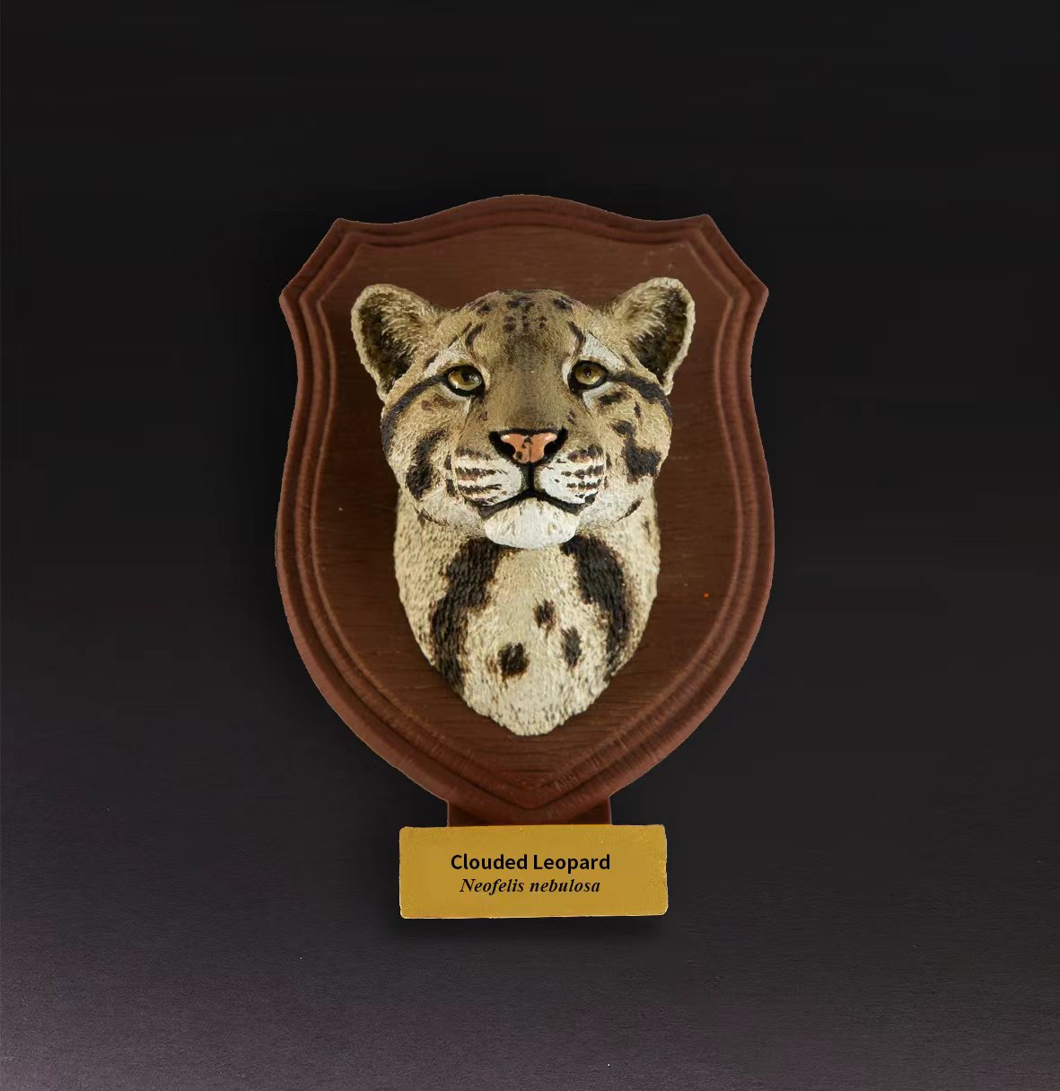 Clouded Leopard