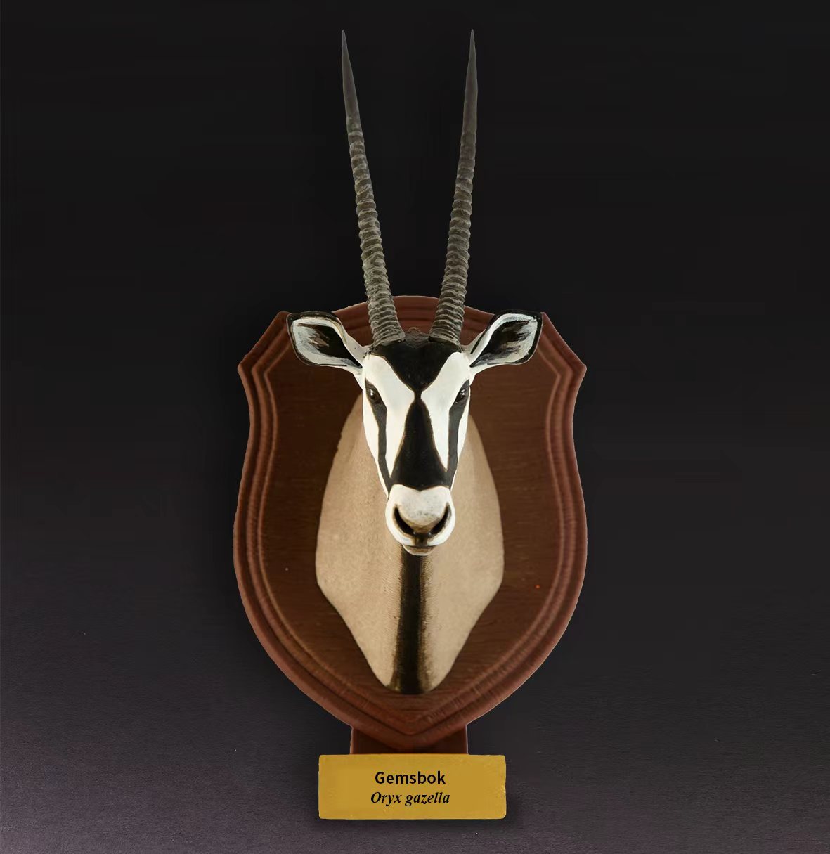 Gemsbok