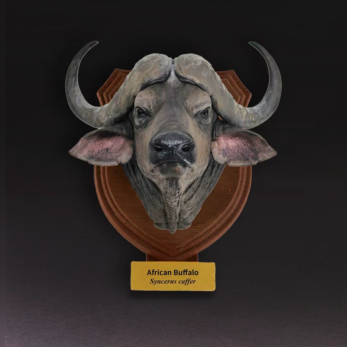 Animal Heavenly Body - World Encyclopedia of Animals Vol.2 African Buffalo | Figure