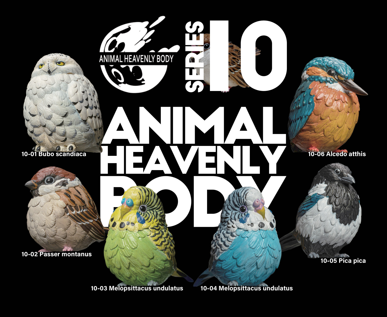 Series 10 - Bird — Animal Heavenly Body collectible figure series