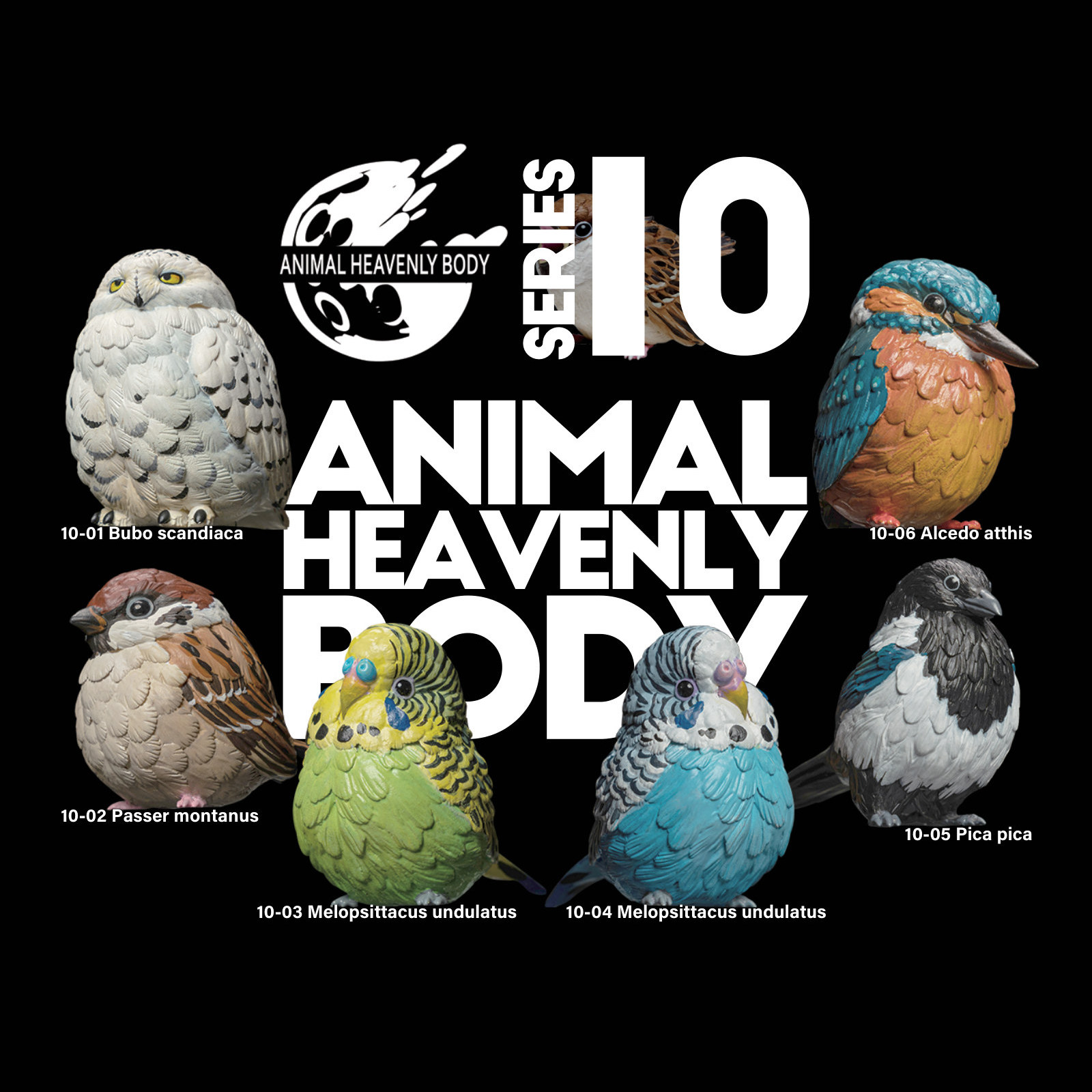 Series 10 – Bird — Animal Heavenly Body collectible figure series card