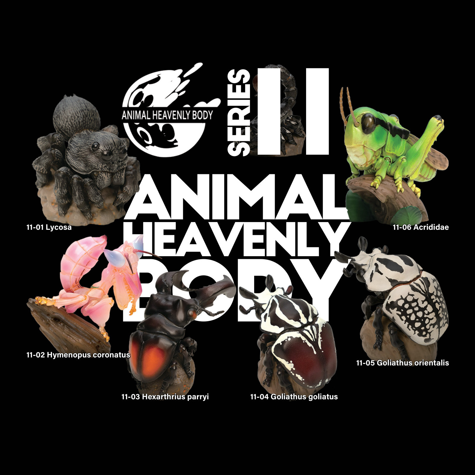 Series 11 – Insect — Animal Heavenly Body collectible figure series card