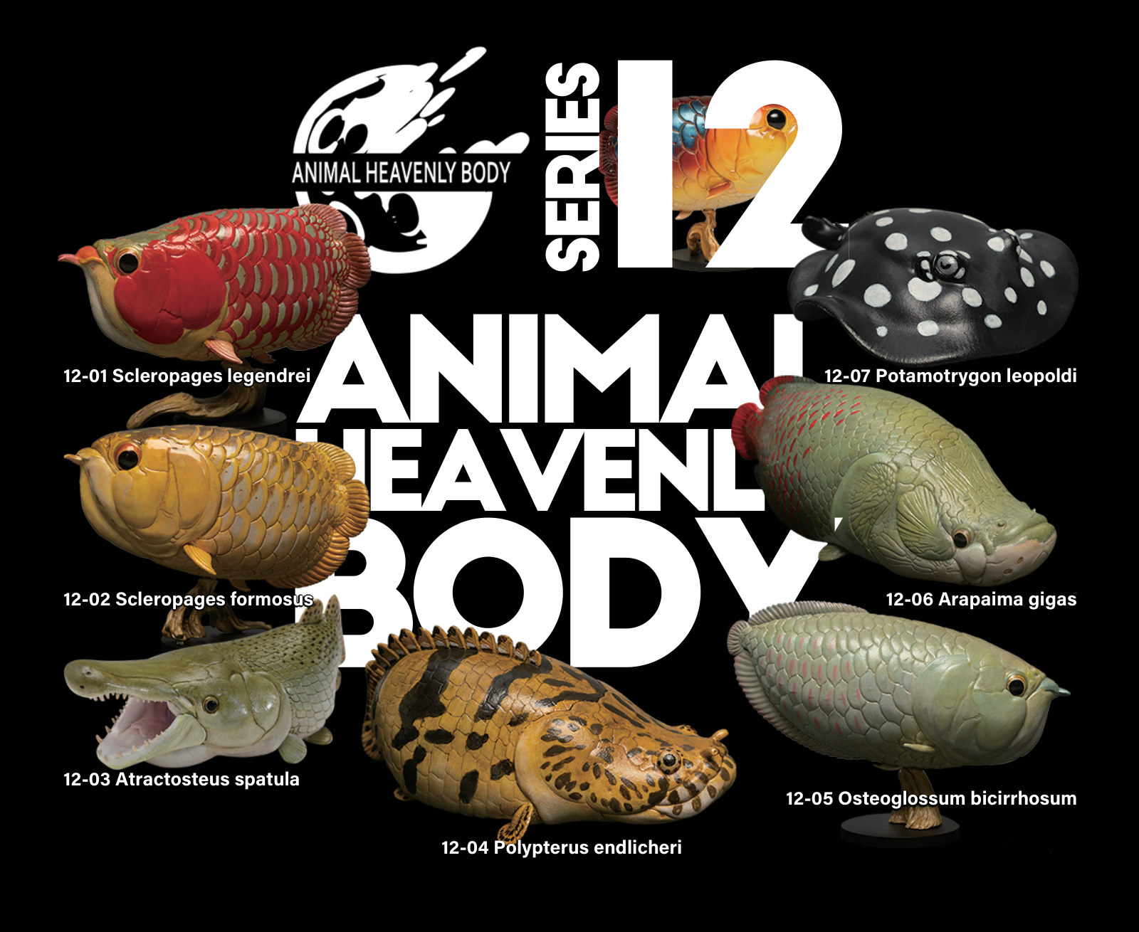 Series 12 - Fish — Animal Heavenly Body collectible figure series