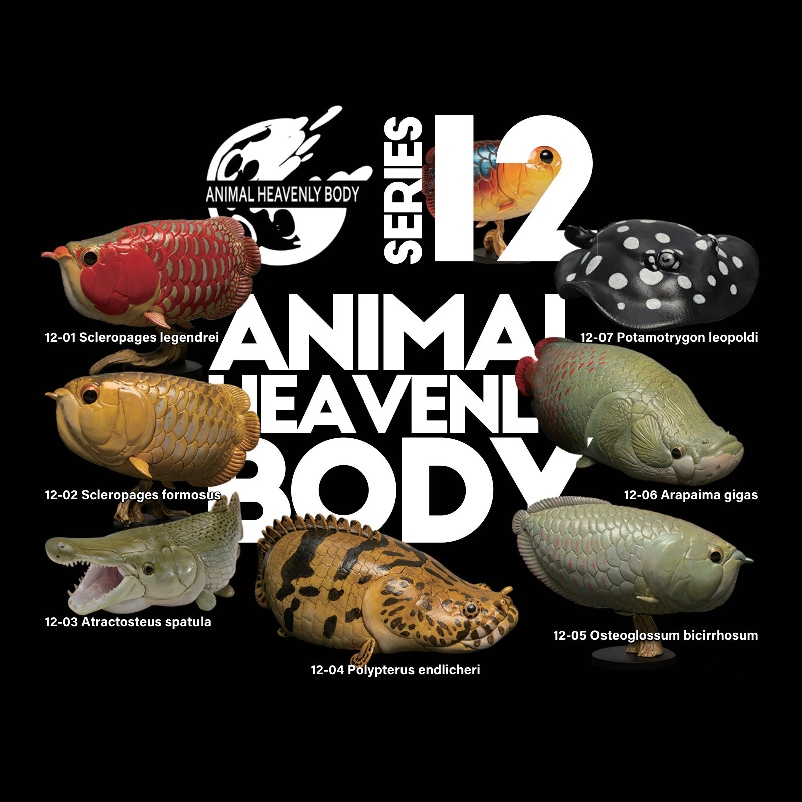 Series 12 – Fish — Animal Heavenly Body collectible figure series card