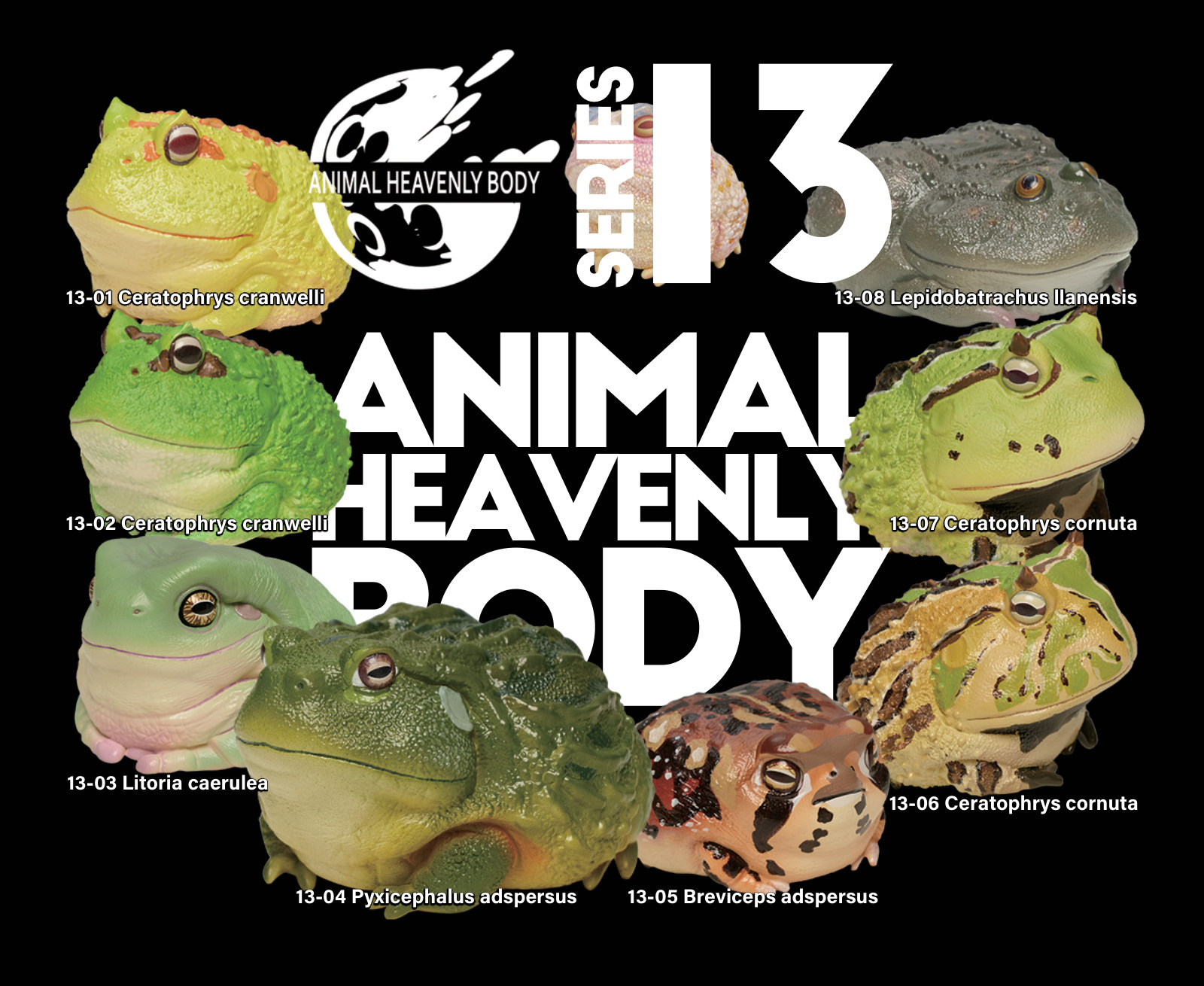 Series 13 - Frog — Animal Heavenly Body collectible figure series