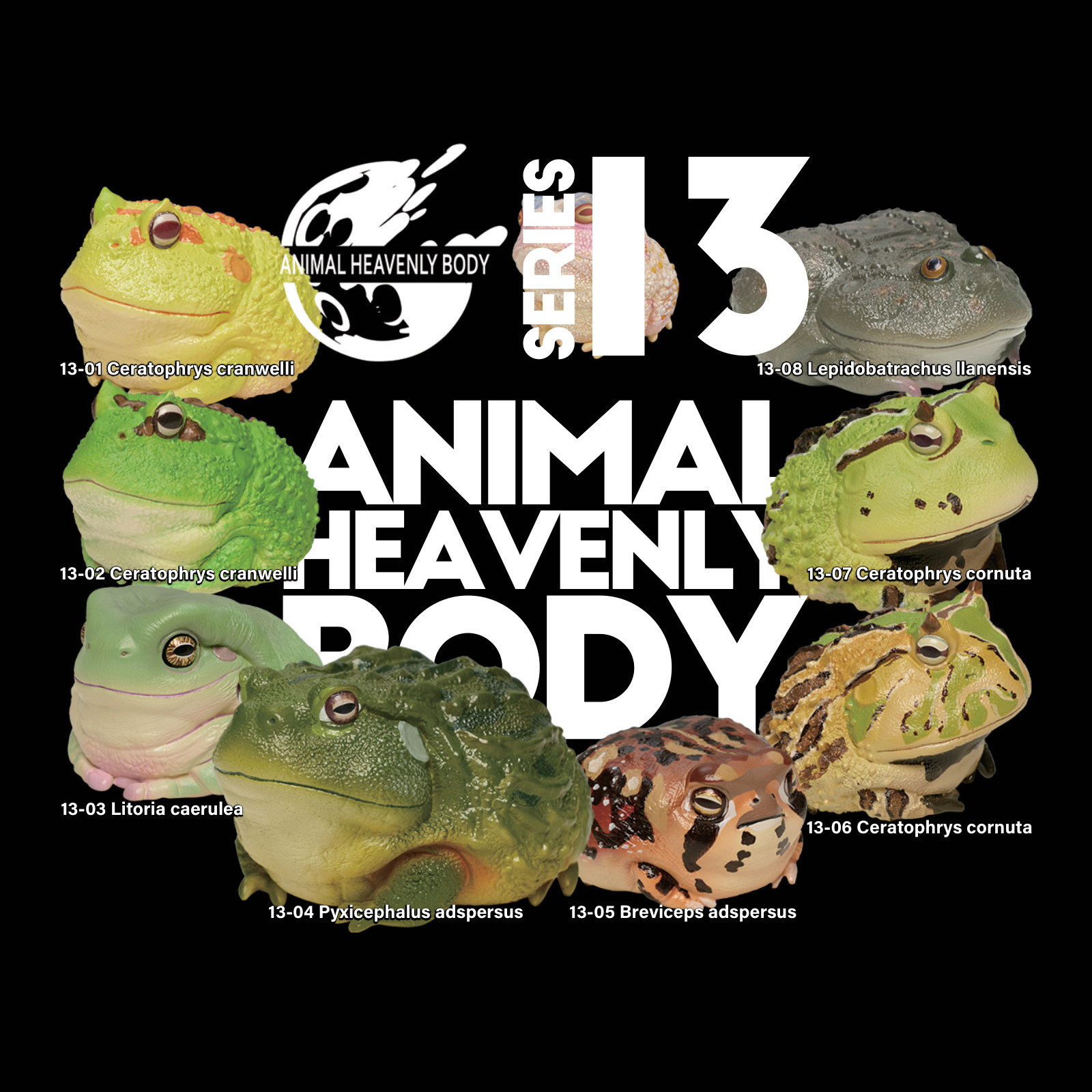 Series 13 – Frog — Animal Heavenly Body collectible figure series card
