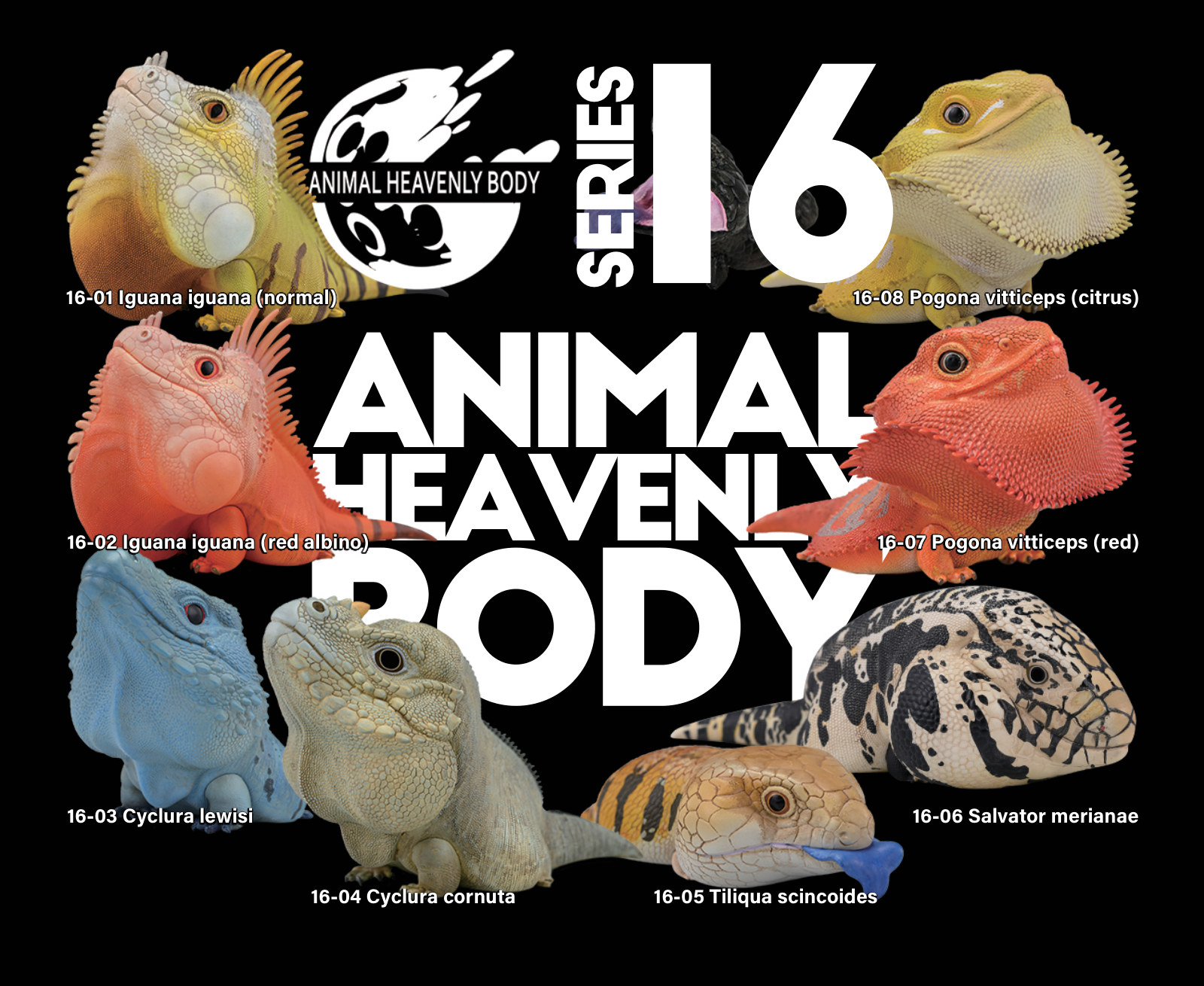 Series 16 - Lizard — Animal Heavenly Body collectible figure series
