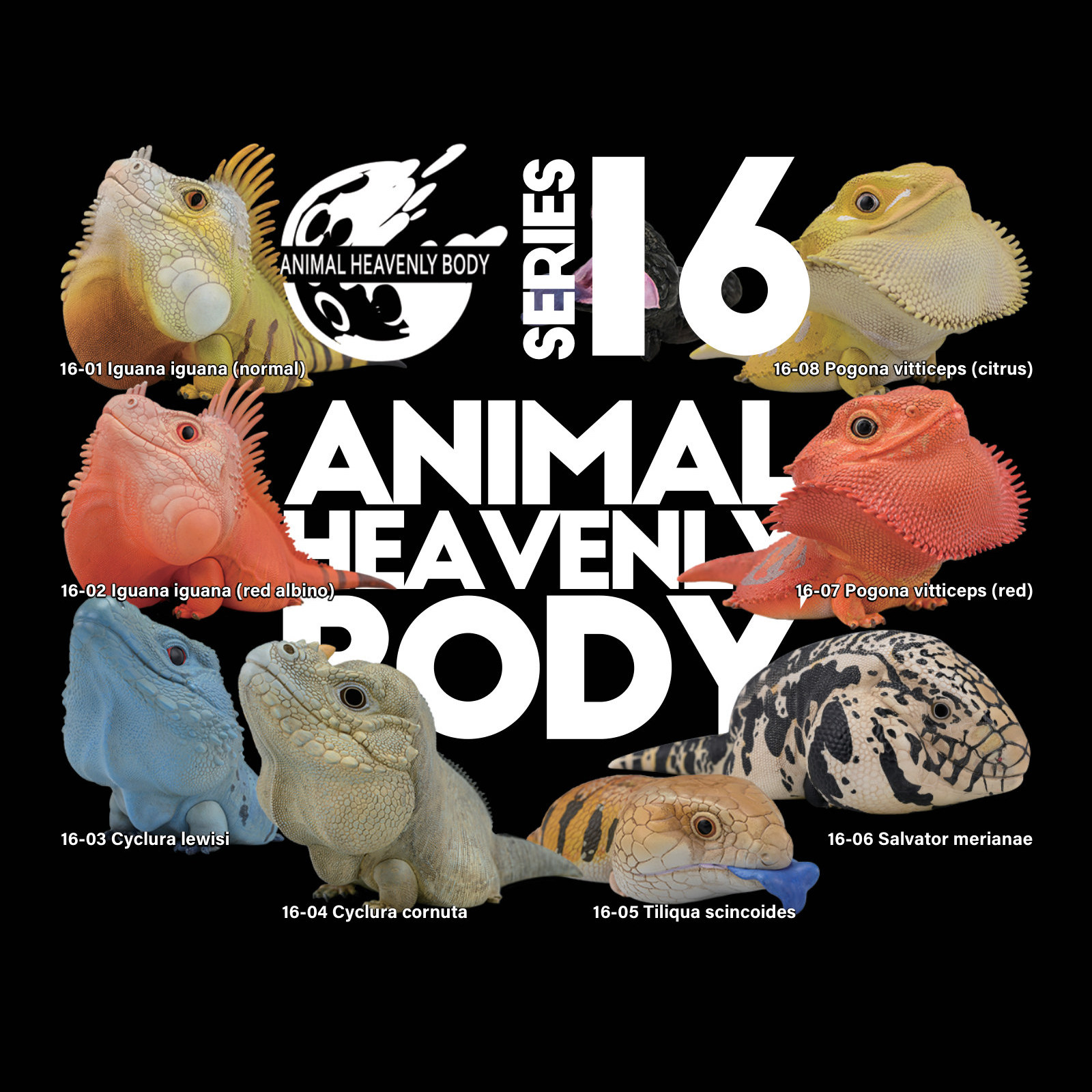 Series 16 – Lizard — Animal Heavenly Body collectible figure series card