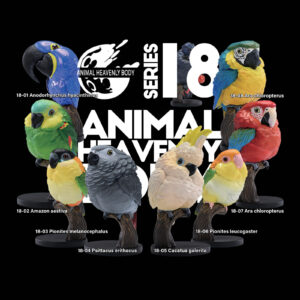 Series 18 – Parrot — Animal Heavenly Body collectible figure series card