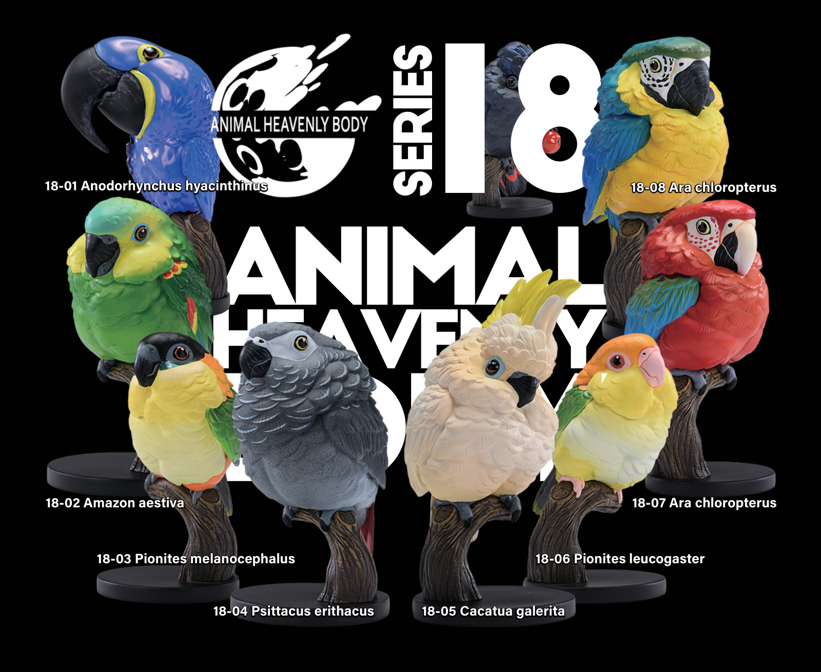 Series 18 - Parrot — Animal Heavenly Body collectible figure series