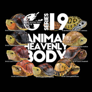 Series 19 – Turtle — Animal Heavenly Body collectible figure series card