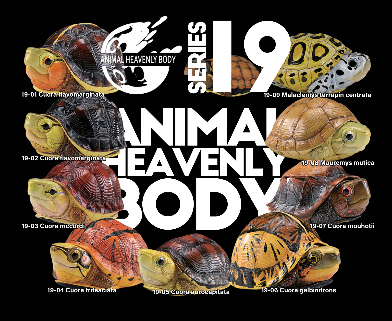 Series 19 - Turtle — Animal Heavenly Body collectible figure series