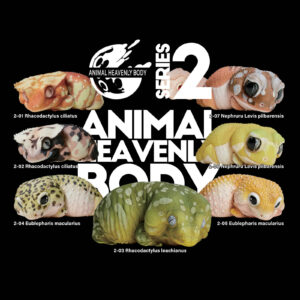 Series 2 – Gecko — Animal Heavenly Body collectible figure series card