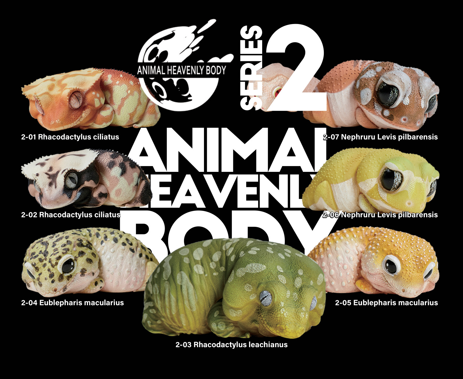 Series 2 - Gecko — Animal Heavenly Body collectible figure series