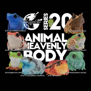 Series 20 – Frog — Animal Heavenly Body collectible figure series card