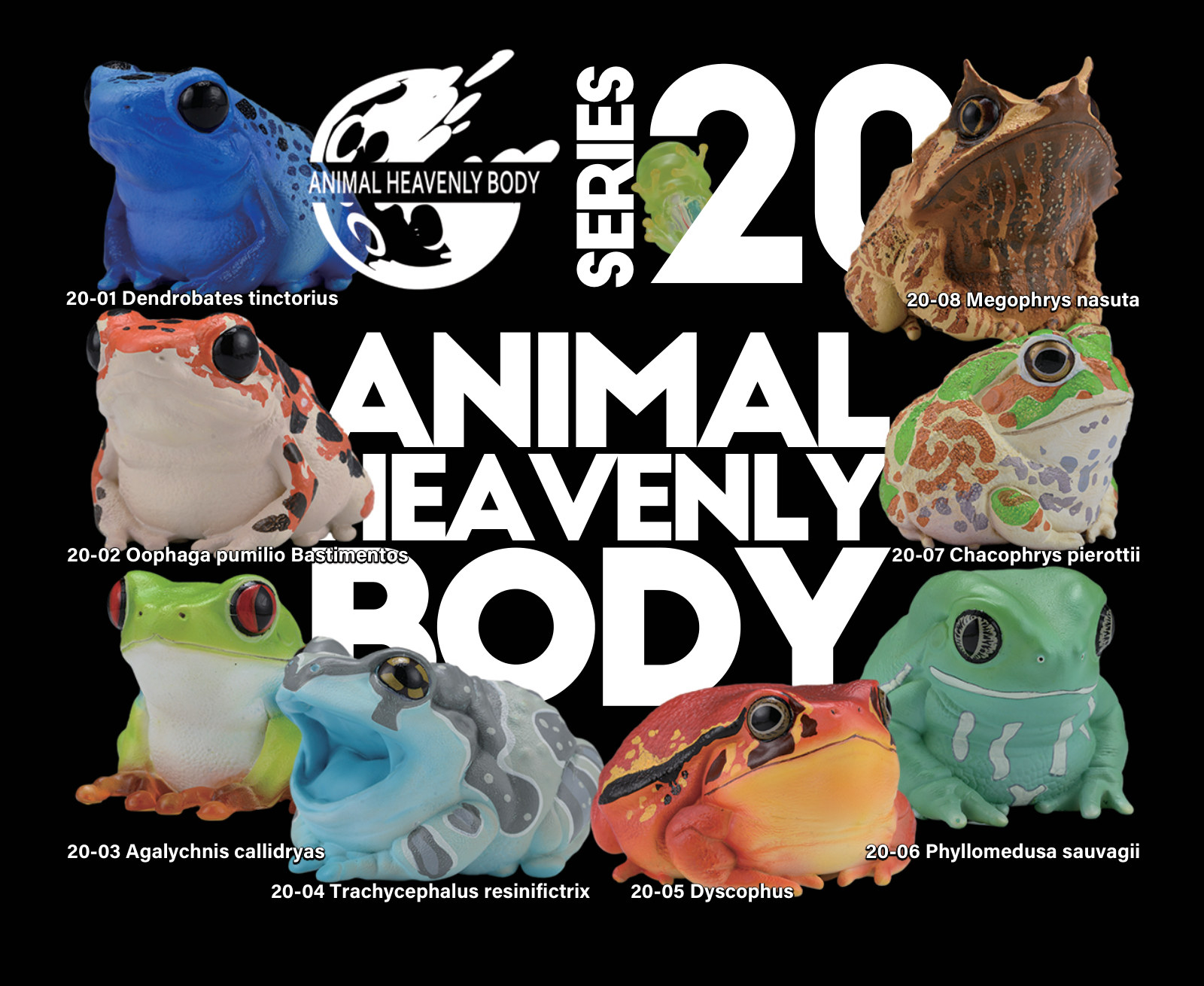 Series 20 - Frog — Animal Heavenly Body collectible figure series