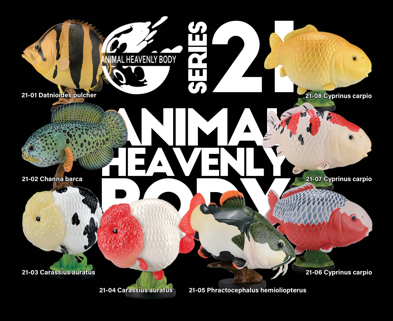 Series 21 - Fish — Animal Heavenly Body collectible figure series