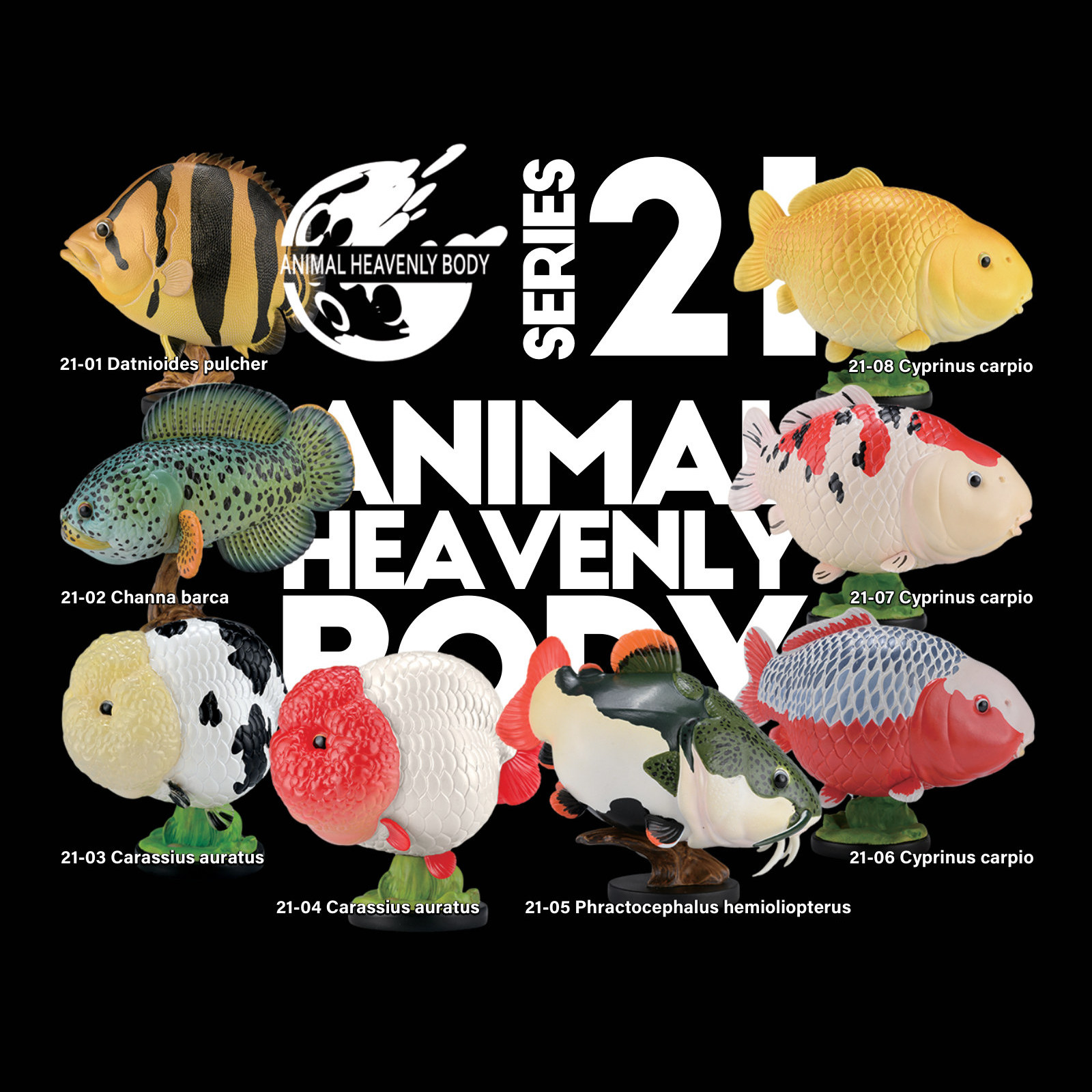 Series 21 – Fish — Animal Heavenly Body collectible figure series card