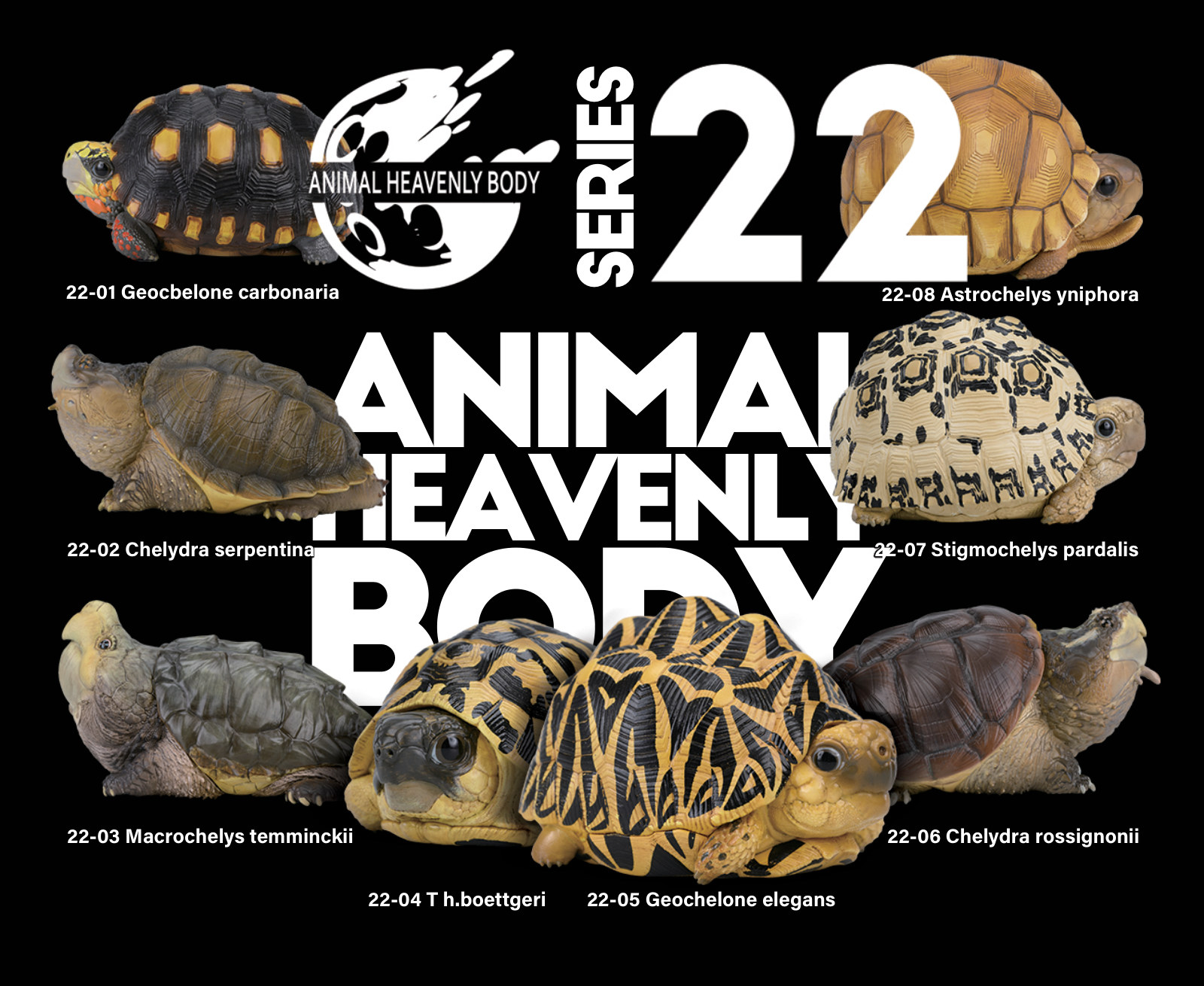 Series 22 — Animal Heavenly Body series card