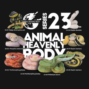 Series 23 – Snake — Animal Heavenly Body collectible figure series card