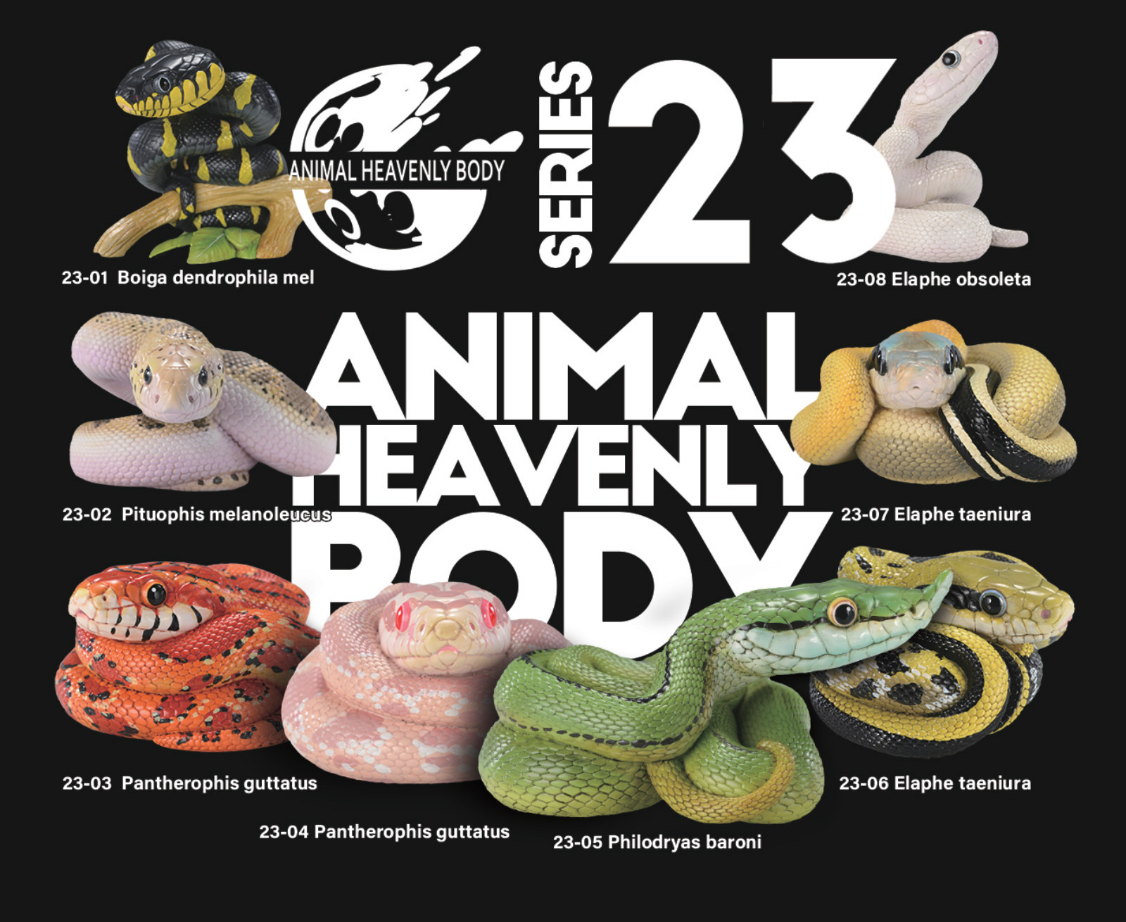 Series 23 — Animal Heavenly Body series card