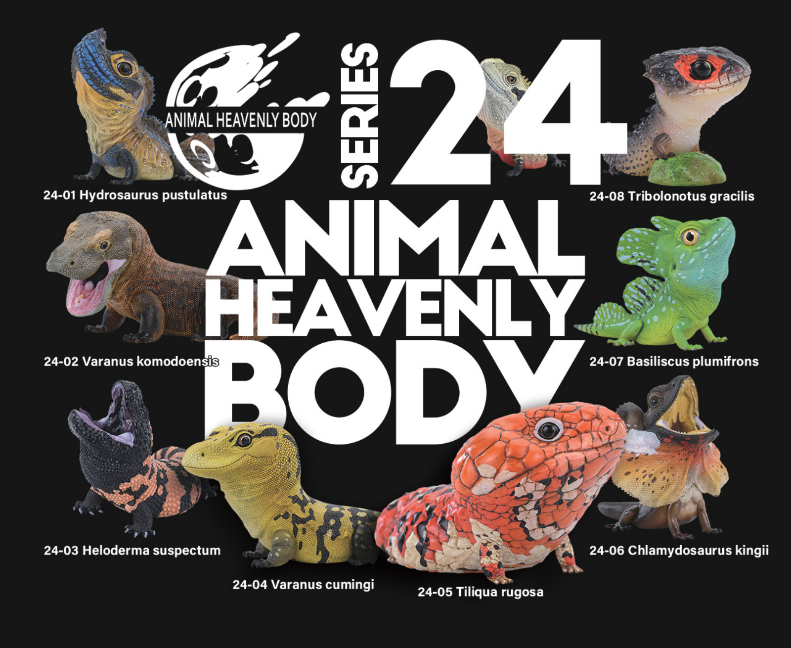 Series 24 — Animal Heavenly Body series card