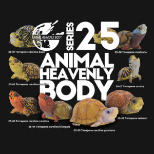 Series 25 – Turtle — Animal Heavenly Body collectible figure series card
