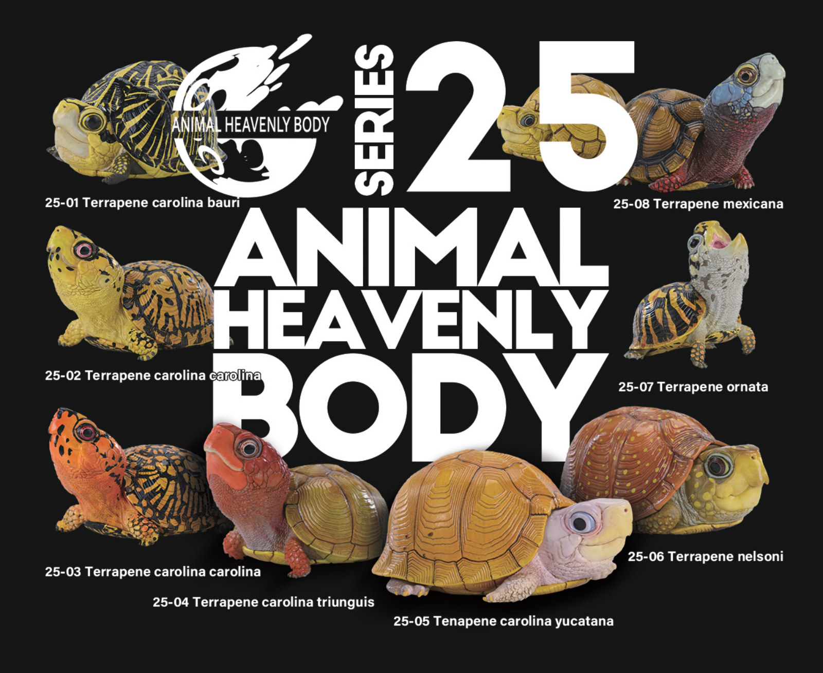 Series 25 — Animal Heavenly Body series card