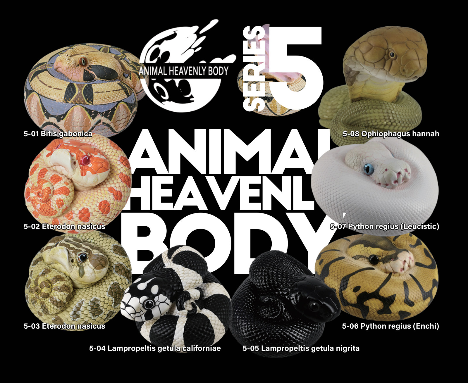 Series 5 - Snake — Animal Heavenly Body collectible figure series