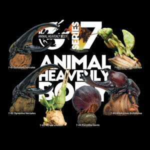 Series 7 – Insect — Animal Heavenly Body collectible figure series card