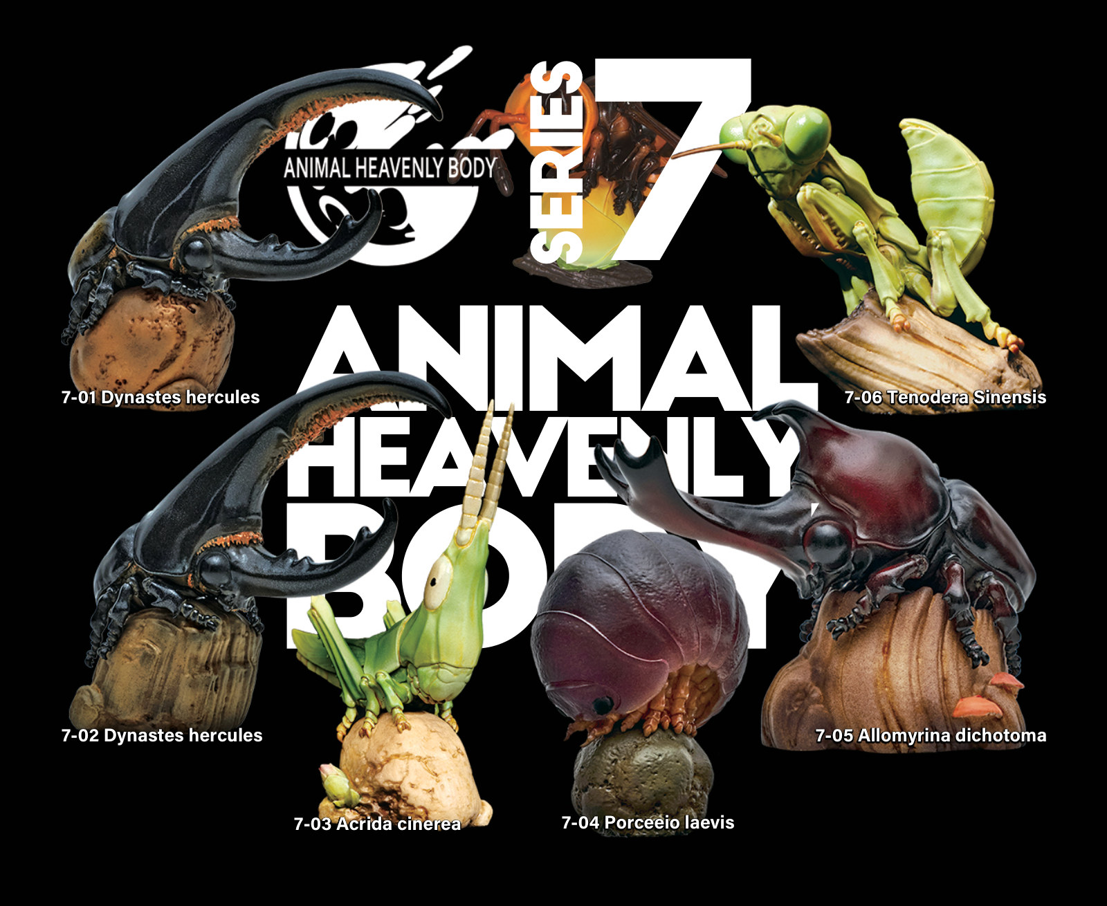 Series 7 - Insect — Animal Heavenly Body collectible figure series