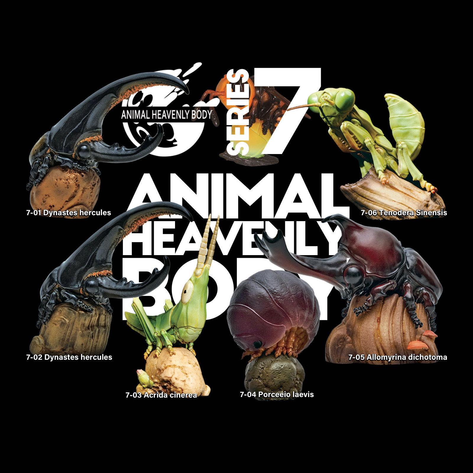 Series 7 – Insect — Animal Heavenly Body collectible figure series card