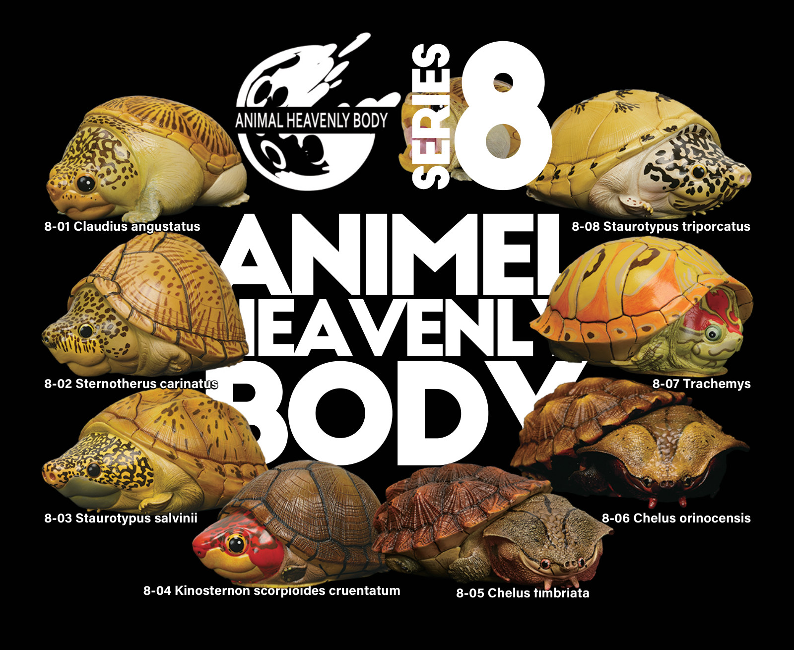 Series 8 - Turtle — Animal Heavenly Body collectible figure series