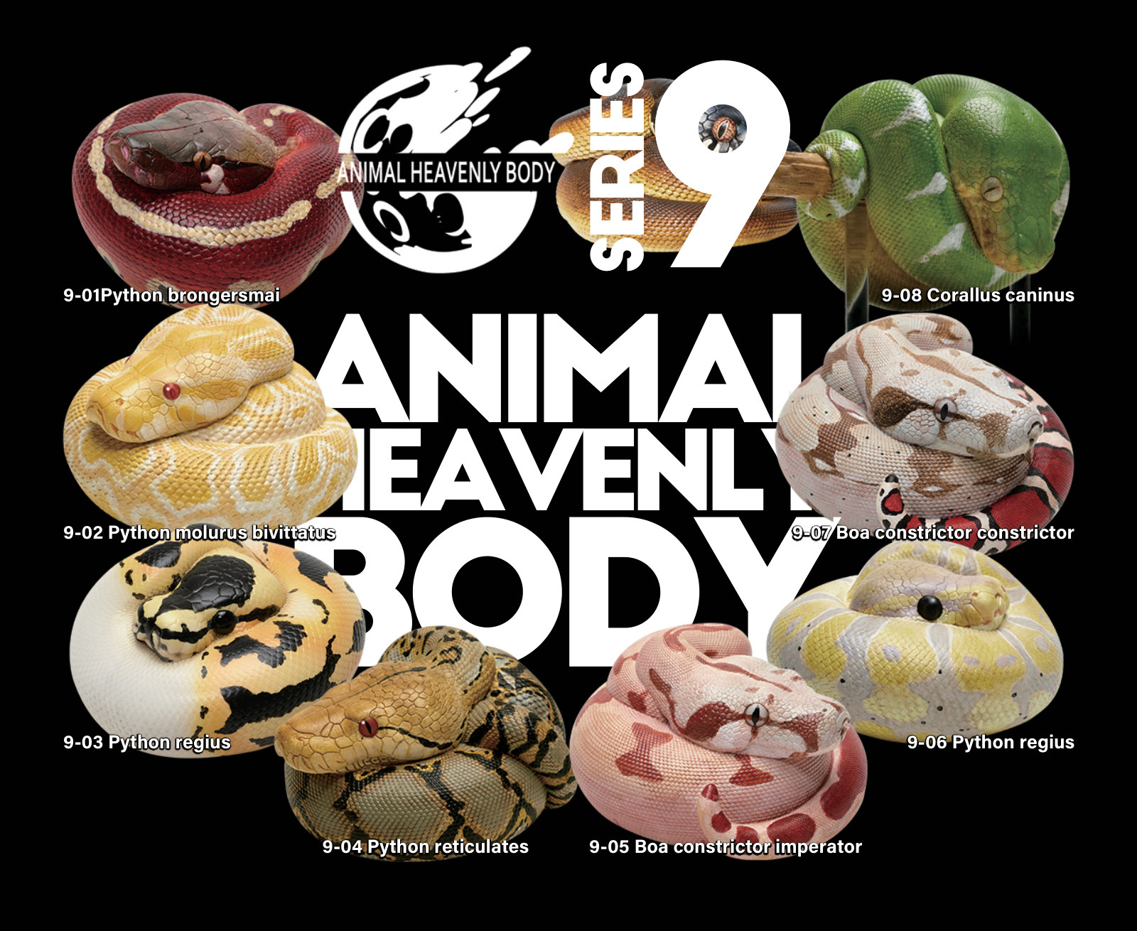 Series 9 - Snake — Animal Heavenly Body collectible figure series
