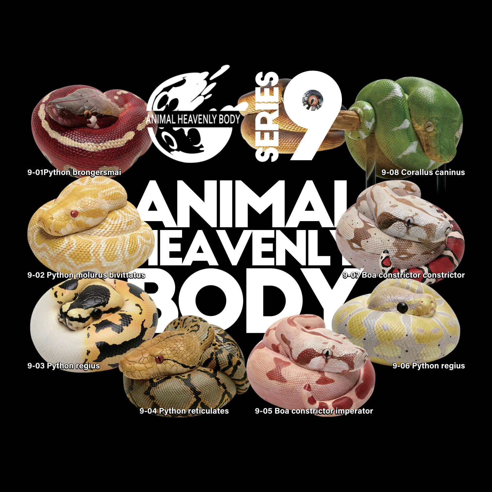 Series 9 – Snake — Animal Heavenly Body collectible figure series card