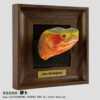 AHB Frame Reptile Arts - Yellow-Margined Box Turtle – Cuora flavomarginata | Turtle