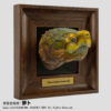 AHB-FRA-02-01 AHB Frame Reptile Arts - Alligator Snapping Turtle (Closed Jaws) – Macrochelys temminckii | Turtle