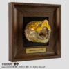 AHB-FRA-03-01 AHB Frame Reptile Arts - Alligator Snapping Turtle (Gaping Jaws) – Macrochelys temminckii | Turtle