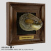 AHB Frame Reptile Arts - Common Snapping Turtle – Chelydra serpentina | Turtle
