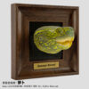 AHB Frame Reptile Arts - Reeves' Pond Turtle – Mauremys reevesii | Turtle